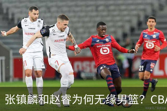 张镇麟和赵睿为何无缘男篮？CBA名记分析，道出2个原因