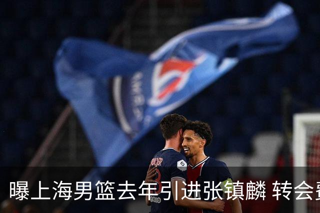 曝上海男篮去年引进张镇麟 转会费投入超5000万