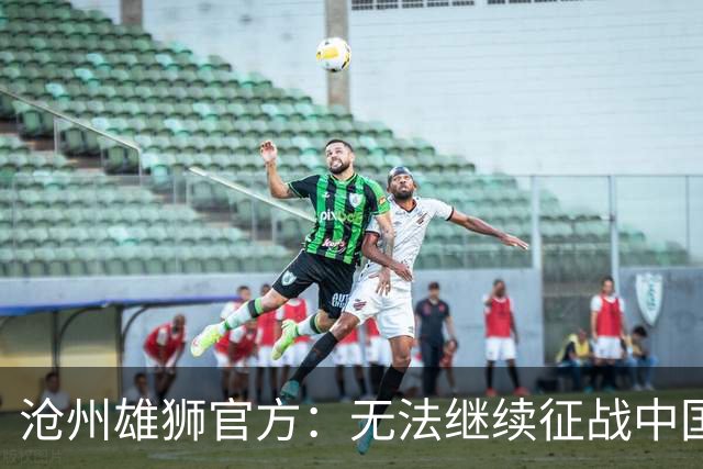 沧州雄狮官方：无法继续征战中国足球职业联赛
