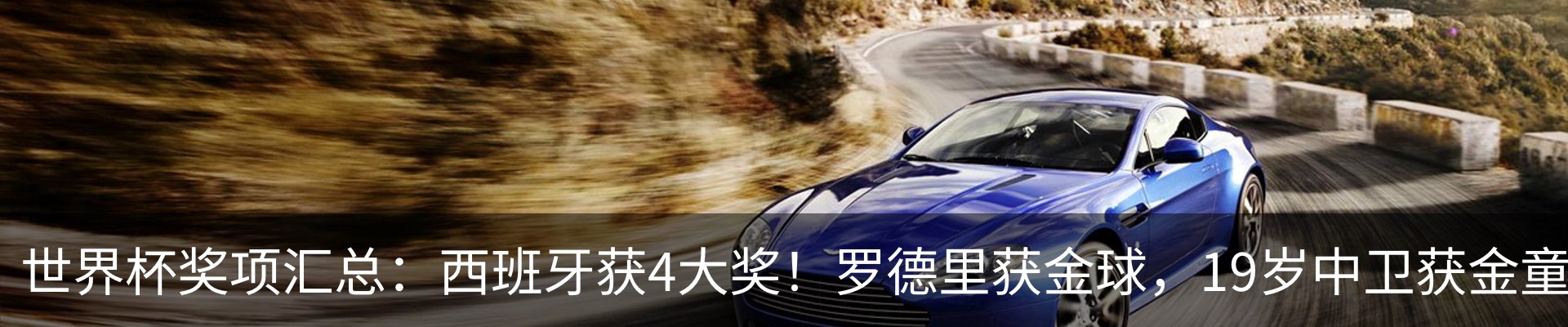 新闻动态