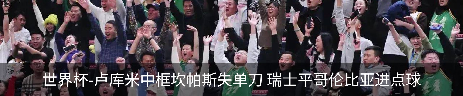 新闻动态