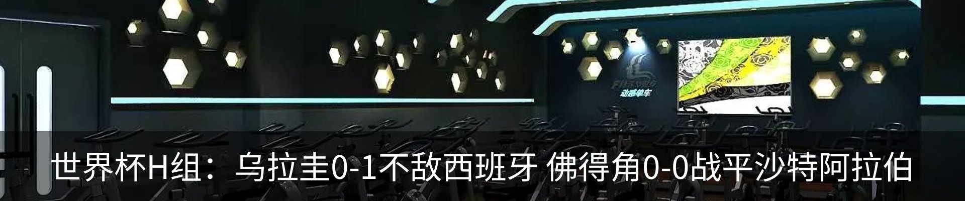 新闻动态