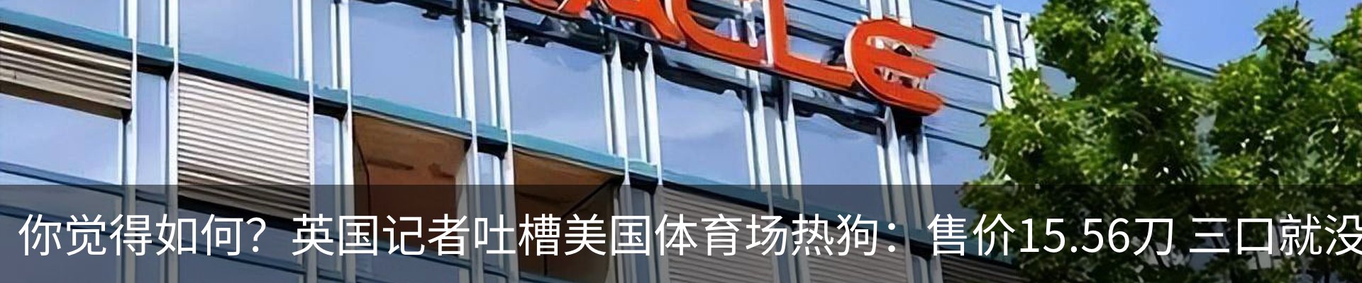 新闻动态