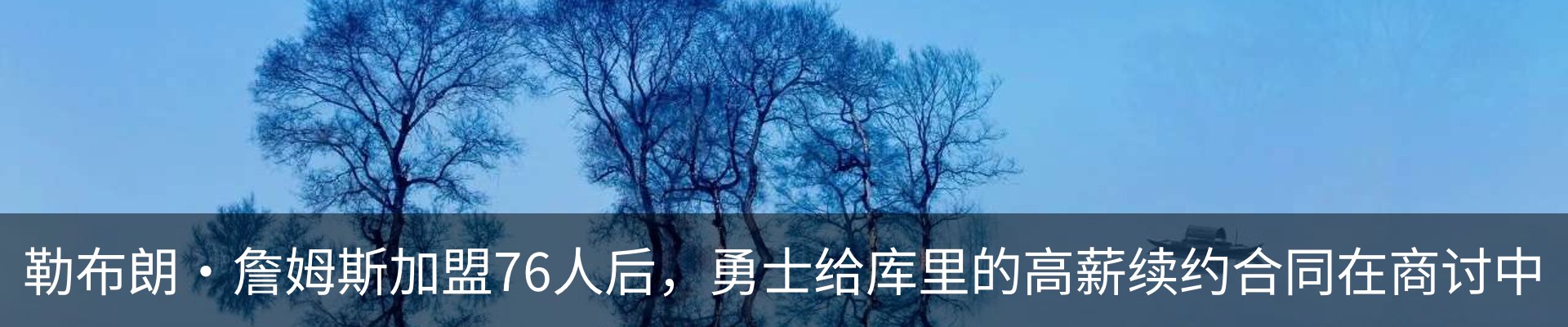新闻动态