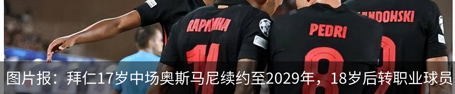 新闻动态