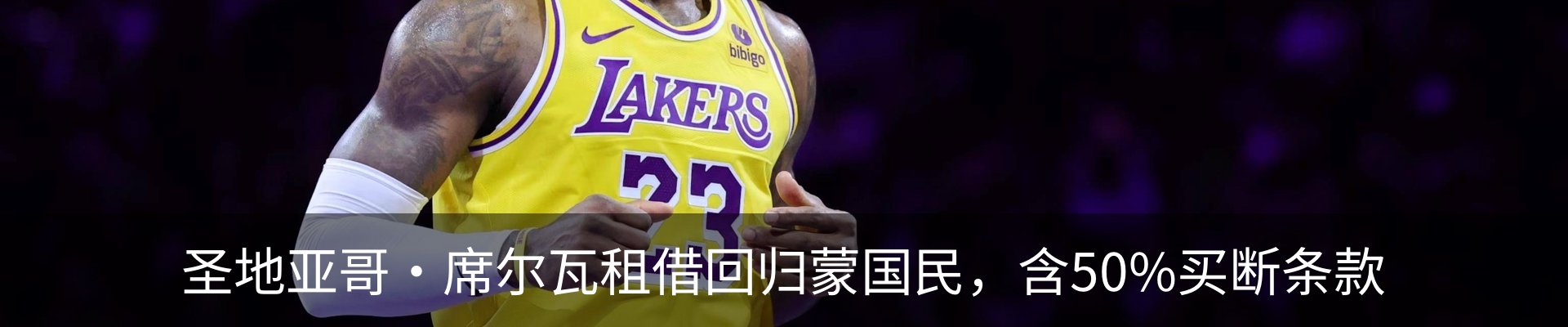 新闻动态