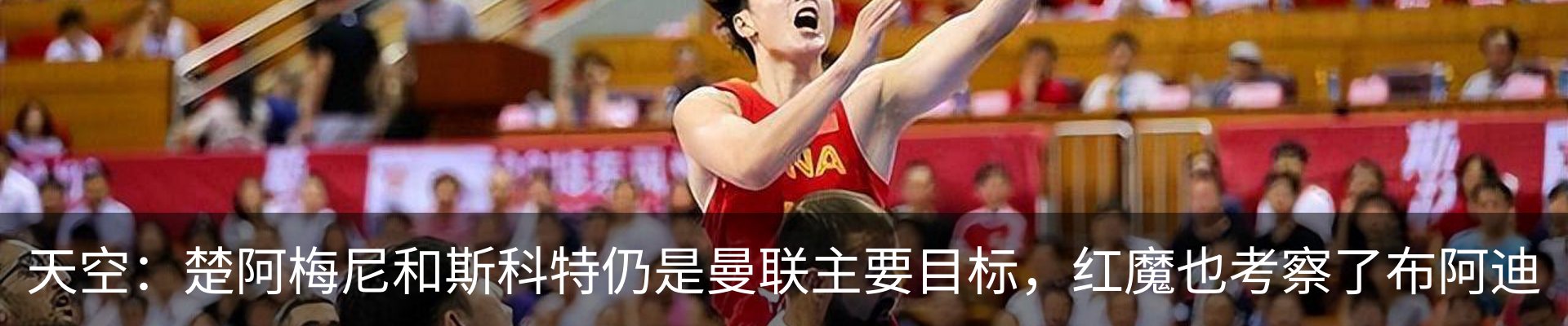 新闻动态