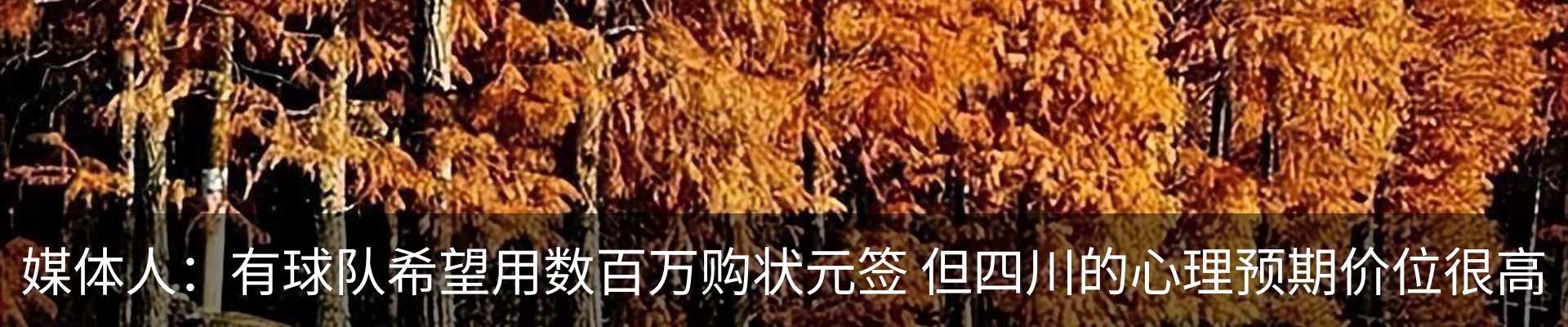 新闻动态