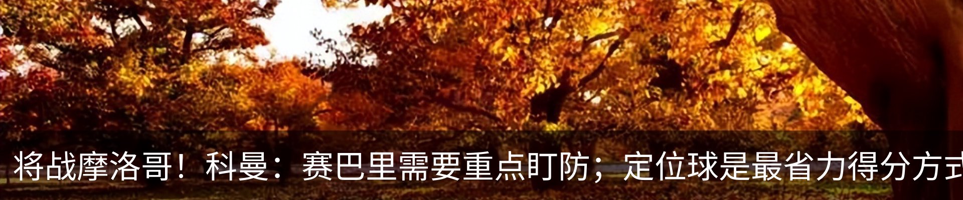 新闻动态