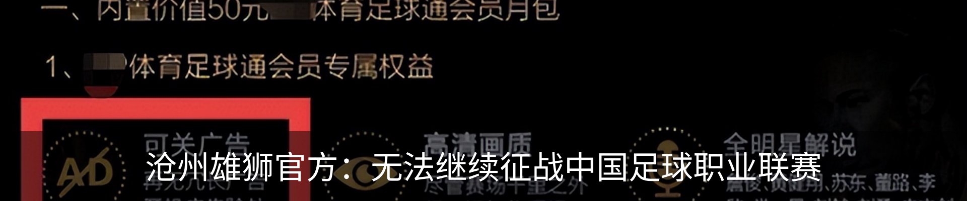 新闻动态