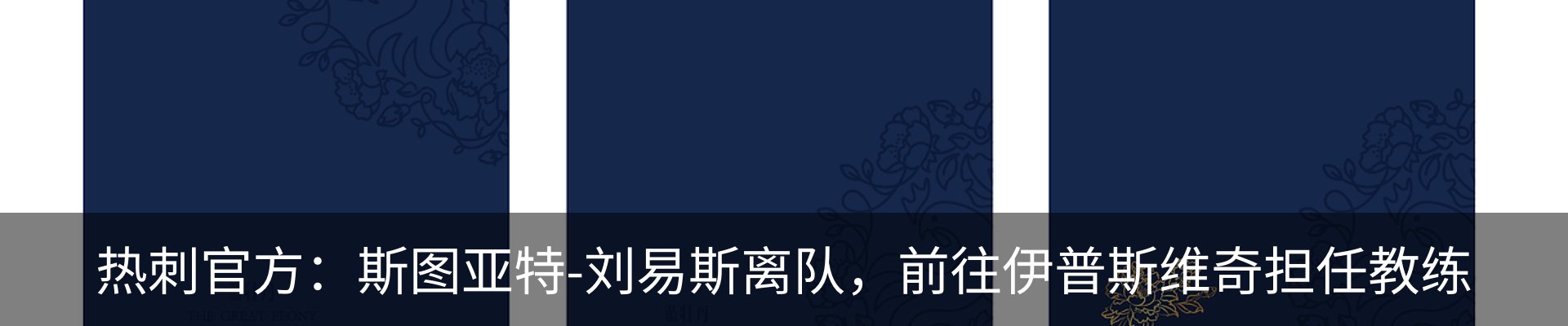 新闻动态