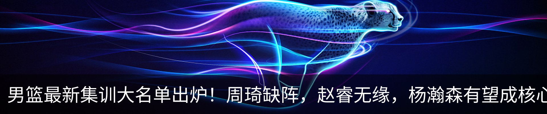 新闻动态