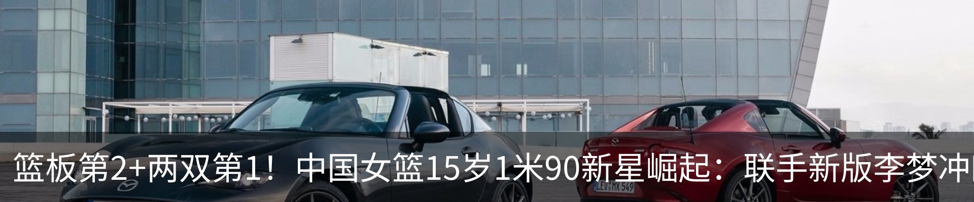 新闻动态