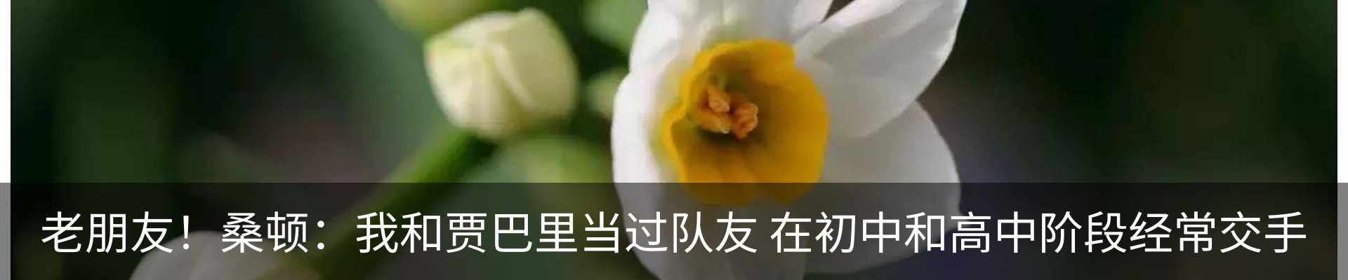 新闻动态
