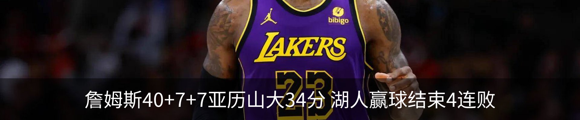 新闻动态