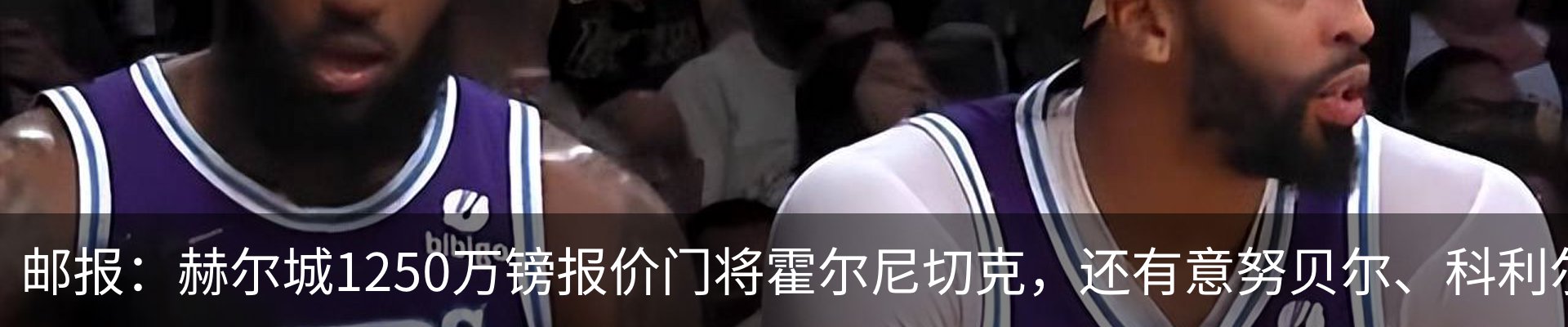新闻动态