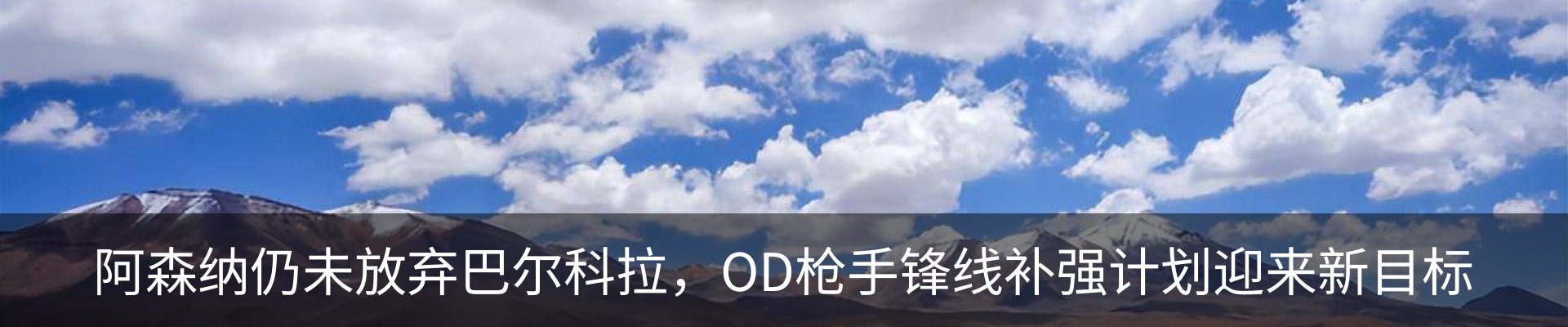 新闻动态