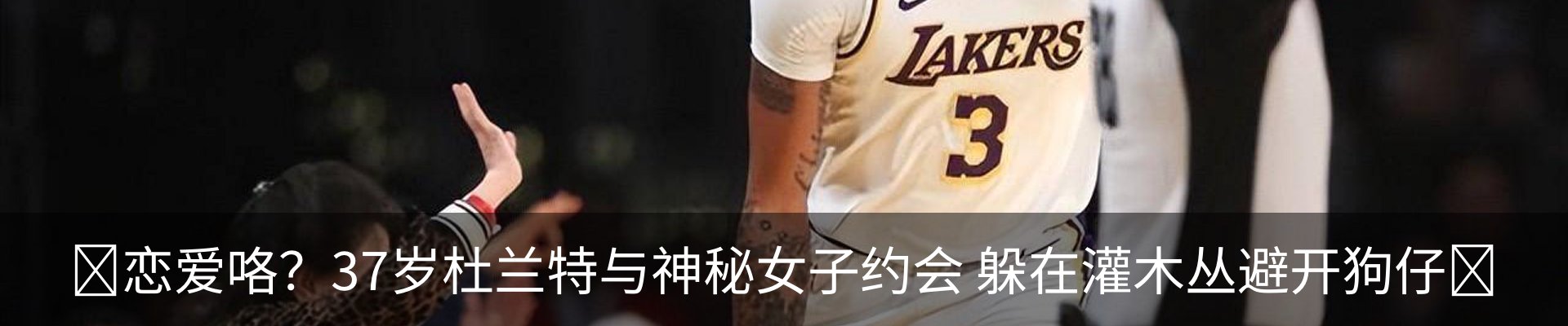 新闻动态