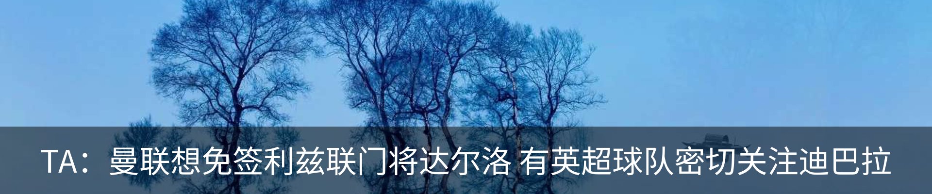 新闻动态